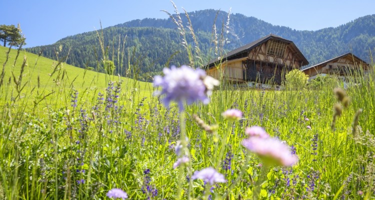 Alto Adige: le "vacanze diverse" negli agriturismi Gallo Rosso