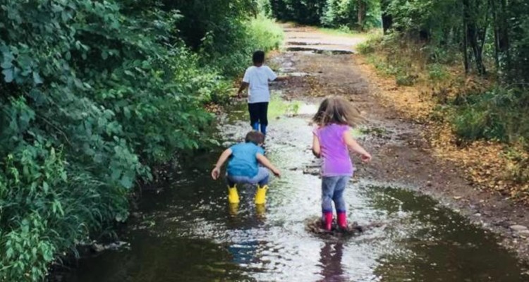 A Busto Arsizio nasce l'asilo nel bosco 