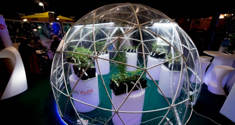 Dal 21 al 23 febbraio 2020 la VI edizione della Fiera Internazionale della Canapa