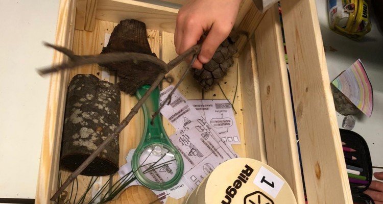 “A tutto legno”: la sostenibilità entra nelle scuole primarie grazie a Rilegno