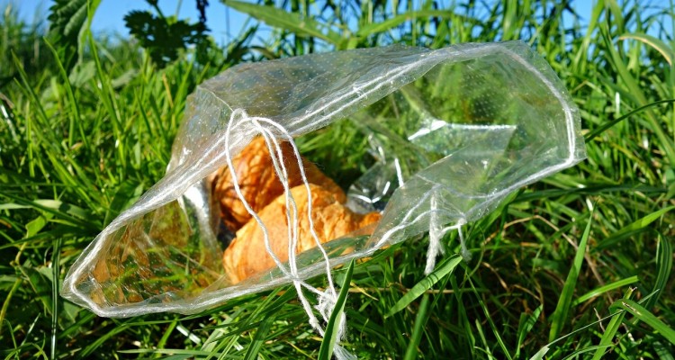 ENEA e Federdistribuzione insieme per la "Giornata nazionale contro lo spreco alimentare"