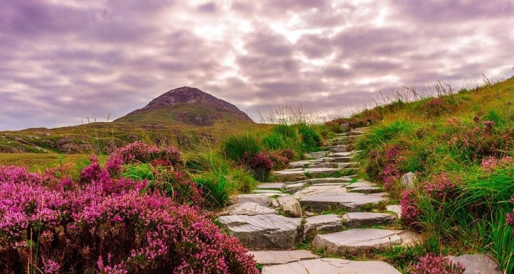 Coronavirus fa diminuire lo smog dopo il 2° febbraio più caldo di sempre