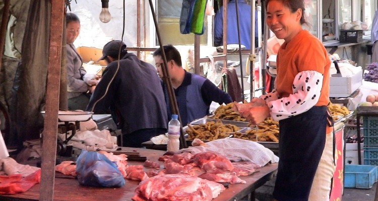 WWF: la vendita di carne di animali selvatici contribuisce alla diffusione di gravi epidemie