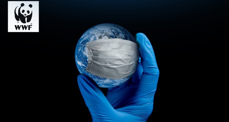 WWF: decine le malattie aggravate dalla crisi climatica, ma non il Covid-19