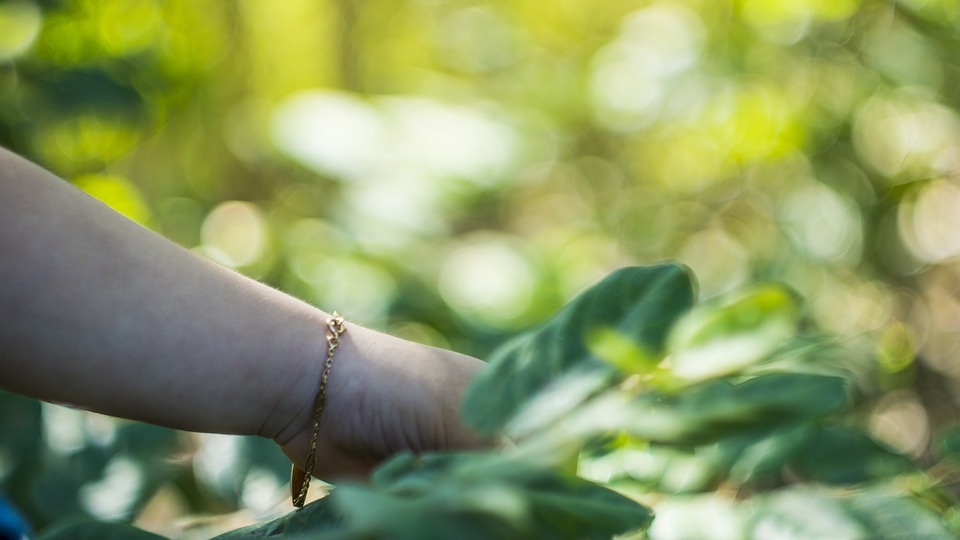 Ass. ambientaliste: salviamo le persone, non le industrie inquinanti