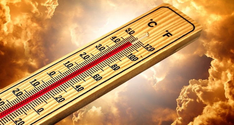 Copernicus: il 2019 è stato l'anno più caldo mai registrato in Europa