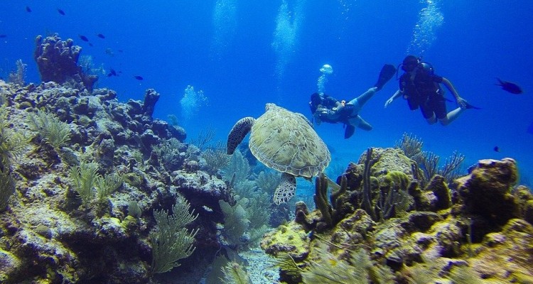 L'associazione Marevivo studia il mare durante il Coronavirus