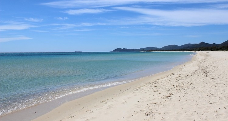 WWF: la disinfezione delle spiagge può creare gravi problemi ambientali 