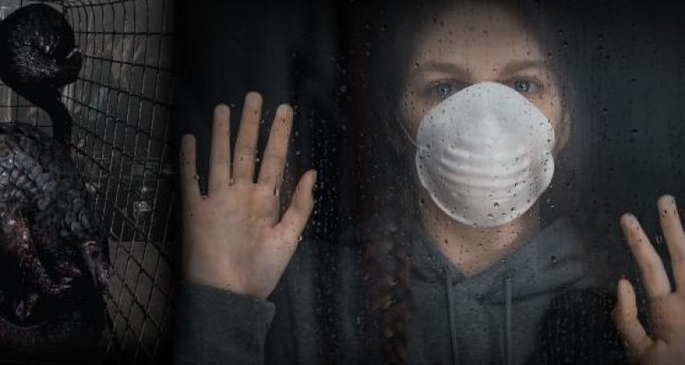 WWF: il Covid-19 potrebbe avere un impatto drammatico sulla conservazione della natura