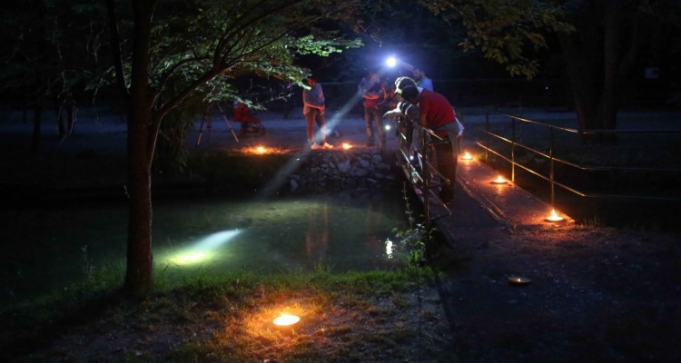 Al Parco Ittico Paradiso per ammirare lo spettacolo delle lucciole