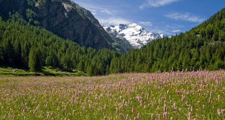 Parco Nazionale Gran Paradiso: al Colle del Nivolet a piedi, in bici o in navetta