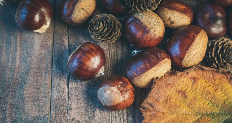 Il 'Mal d’autunno'  si combatte con le vitamine e l’energia di cachi e castagne