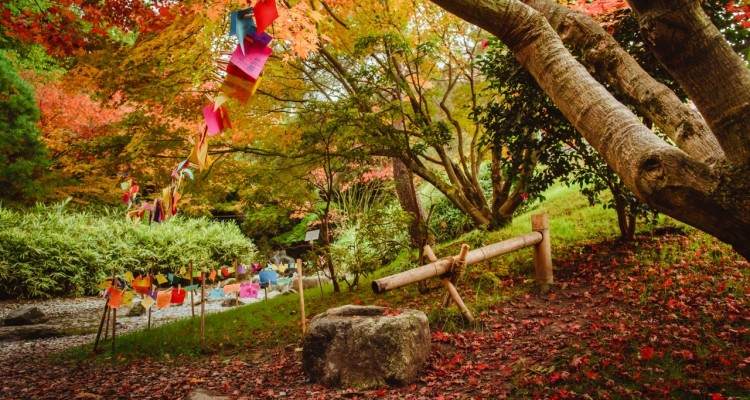 Ai Giardini di Castel Trauttmansdorff in scena i colori dell'autunno 