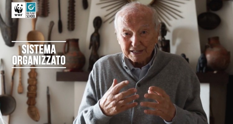 One Planet School, la nuova piattaforma di e-learning WWF