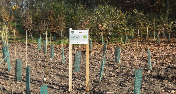 E.ON pianta 500 nuovi alberi a Milano, nel parco urbano del Bosco in Città