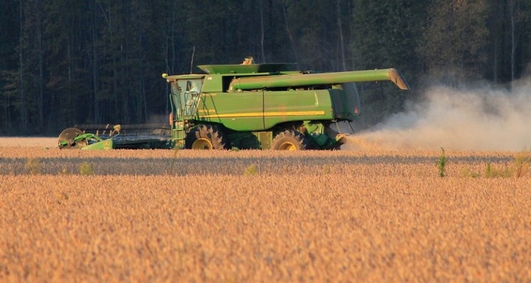 Coldiretti: record prezzi delle materie prima, dalla soia al mais
