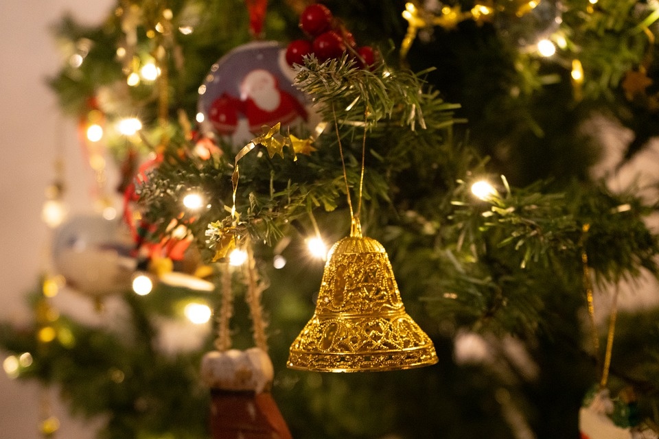 Natale: in 3,5 mln di case si accende l’albero vero