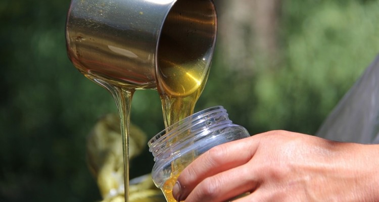 Coldiretti: miele straniero in 1 vaso su 2, occhio all’etichetta