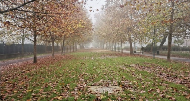 Milano: oltre 27mila metri quadrati di aree depavimentate negli ultimi mesi