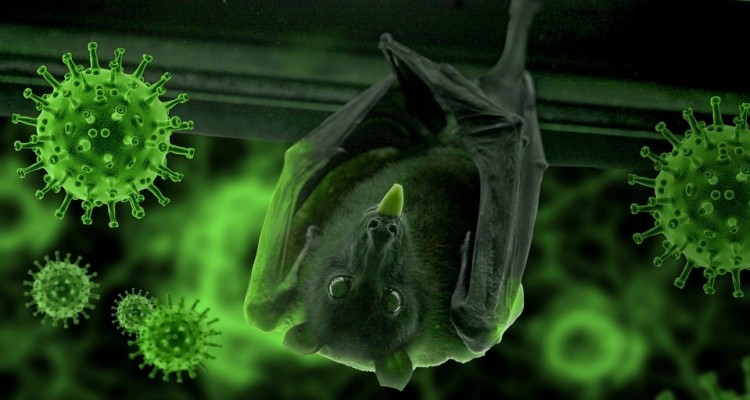 WWF: una natura in salute è la migliore assicurazione per la nostra salute