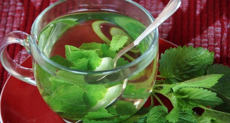 Finale Ligure: erbe spontanee e fiori selvatici in cucina