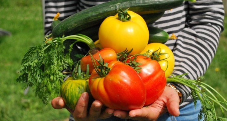 Covid: tornano gli “orti di guerra” per 4 italiani su 10