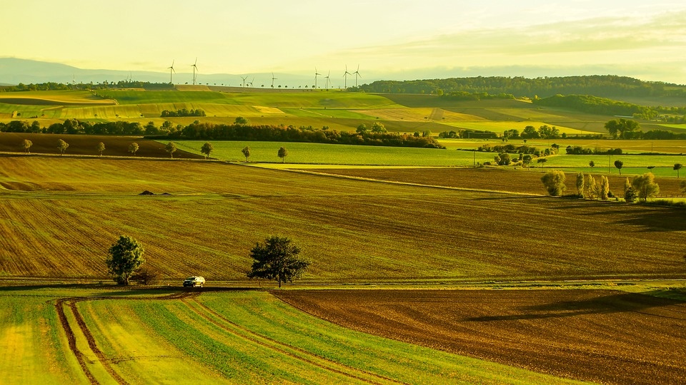 Recovery, Coldiretti: l’agricoltura italiana la più green d’Europa