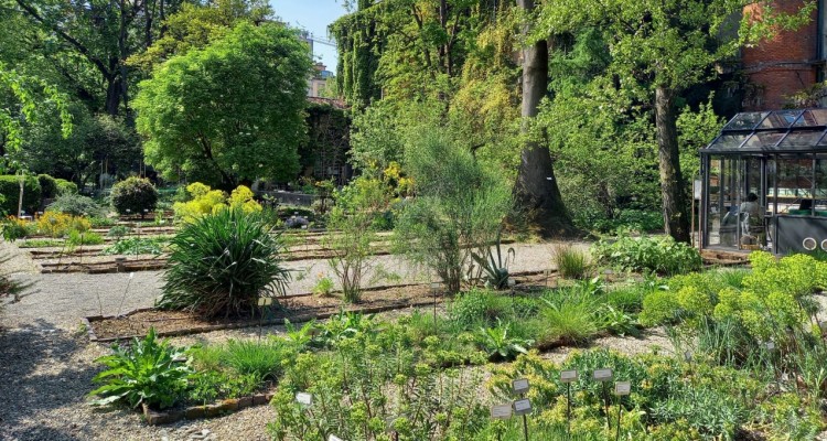 Riaprono al pubblico le oasi verdi della Rete degli Orti Botanici della Lombardia