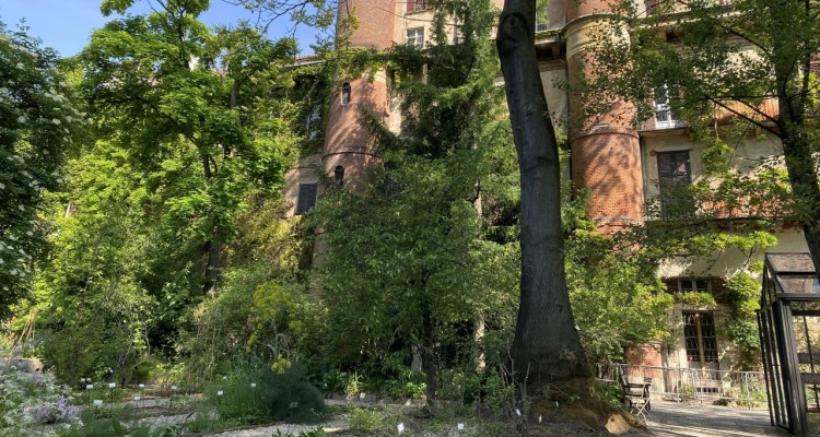 Gli orti botanici della Lombardia celebrano le Giornate mondiali dei musei e della biodiversità