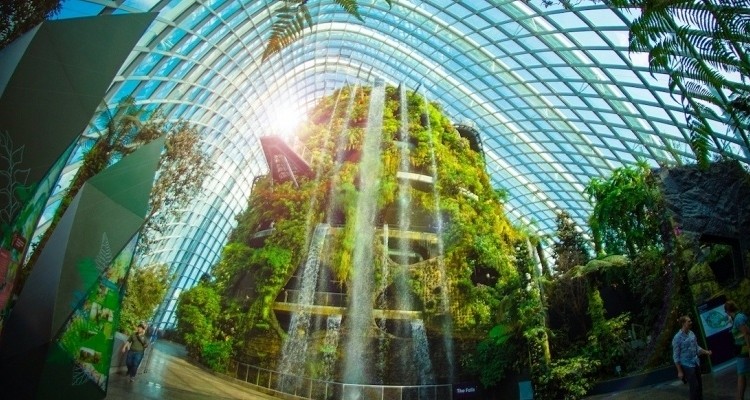 "City in a Garden”: gli incredibili e inaspettati spazi verdi di Singapore