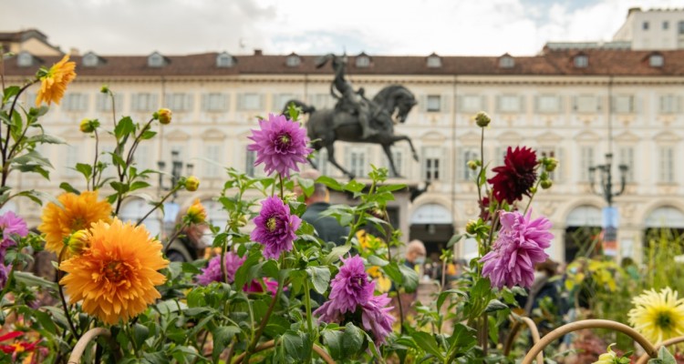 Forestopia: il progetto di riforestazione "diffusa" per una Torino più verde