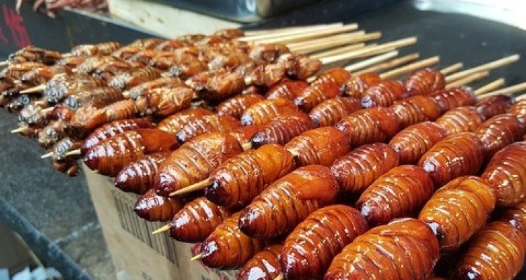 Ue: ok a insetti nel piatto