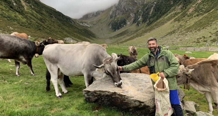 Con i Vitalpina Hotels Südtirol/Alto Adige alla scoperta di api, galline, capre e altri animali da fattoria