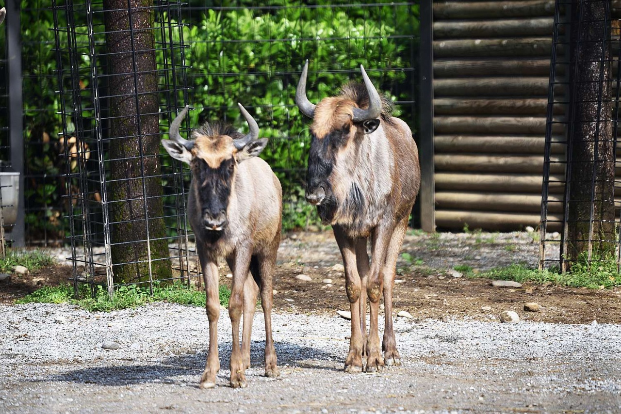 parcolecornelle gnu