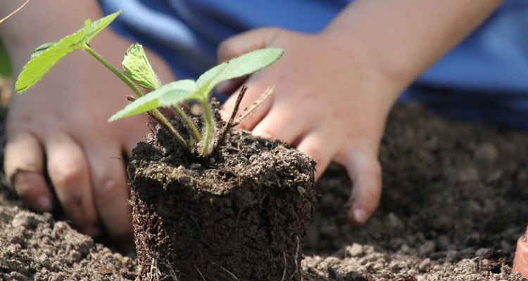 Alimentazione: nell'anno del Covid svolta autarchica in 4 famiglie su 10