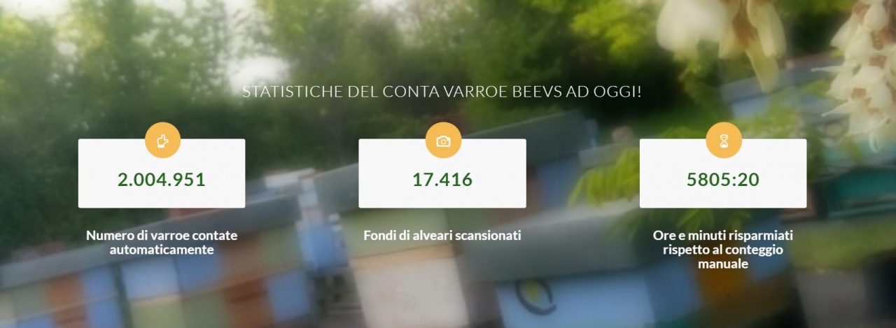 statistiche beevs statistiche beevs