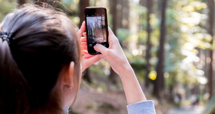Scatta il bosco: su Instagram il concorso fotografico di PEFC per raccontare le foreste italiane