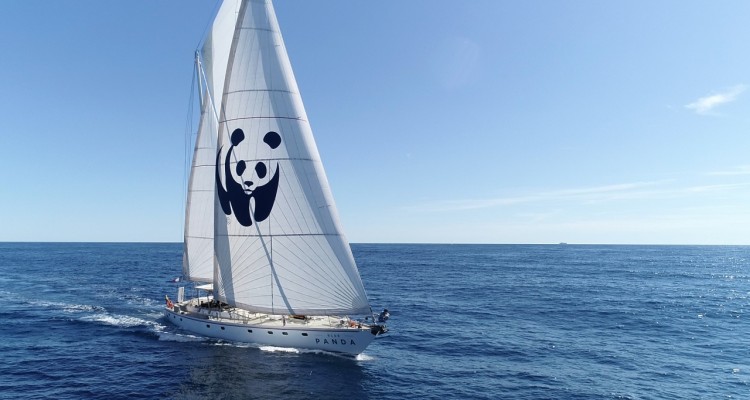 WWF: salpa la Blue Panda nel Mediterraneo