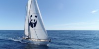WWF: salpa la Blue Panda nel Mediterraneo