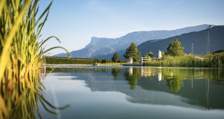 La Piscina naturale di Gargazzone, per tuffarsi senza preoccupazioni e rispettando lambiente