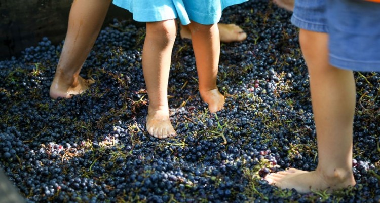 Festa della Vendemmia #Renaissance, 10 e 11 settembre al Villaggio Narrante di Fontanafredda