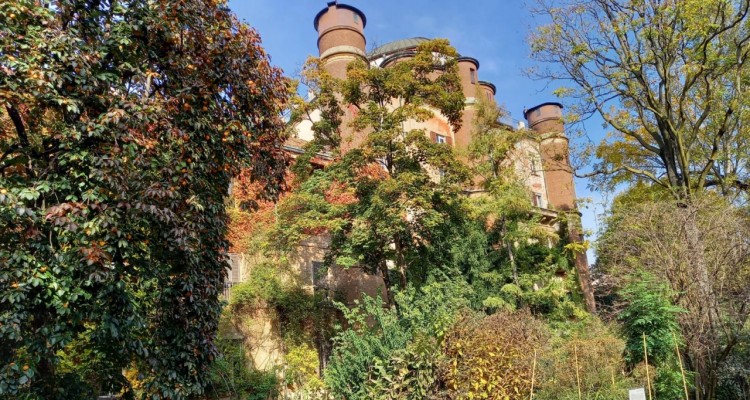 Autunno negli Orti botanici della Lombardia: ancora pochi giorni per visitarli 