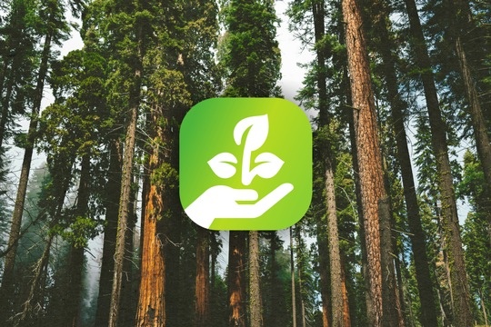 Juice Technology: sostiene un progetto di riforestazione in Spagna.