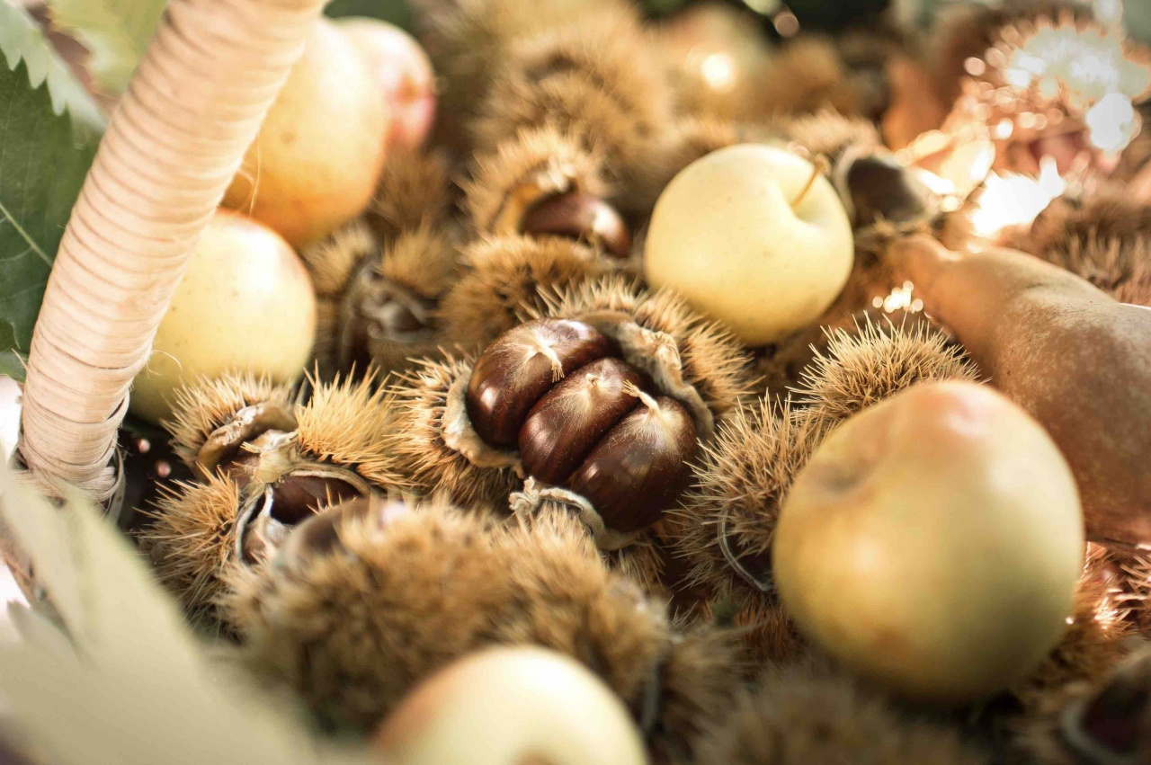 Regione Lana, una terra dove la castagna è regina