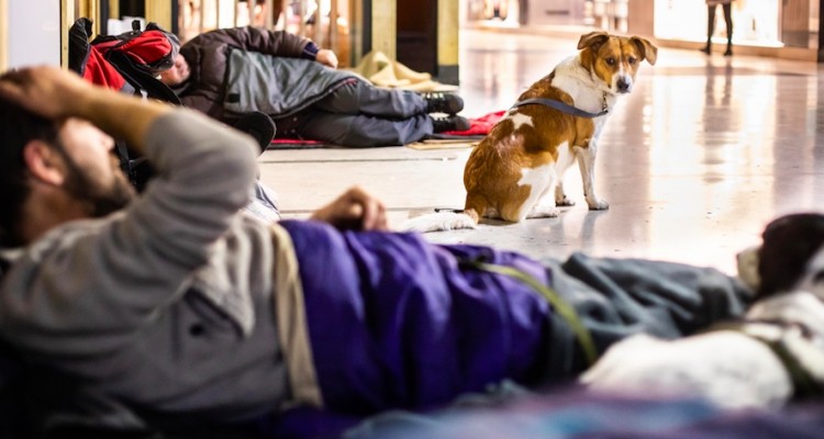 Milano: Save The Dogs scende in strada per aiutare i cani dei senza dimora