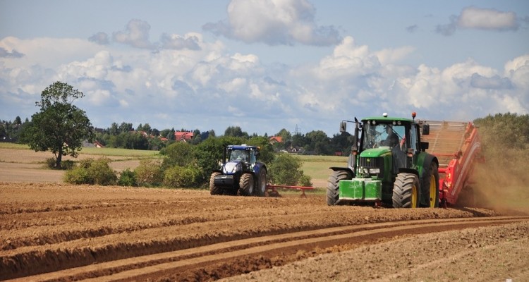 Green pass: in 100mila senza nei campi, raccolti a rischio