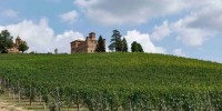 Passeggiare tra i vitigni centenari delle Langhe: la Collezione Grinzane Cavour è un viaggio nel tempo