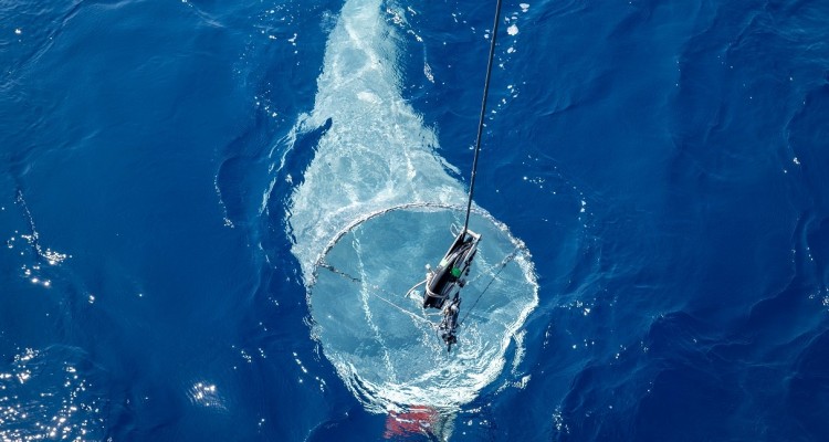 Oceani: svelata la biogeografia globale del plancton eucariotico
