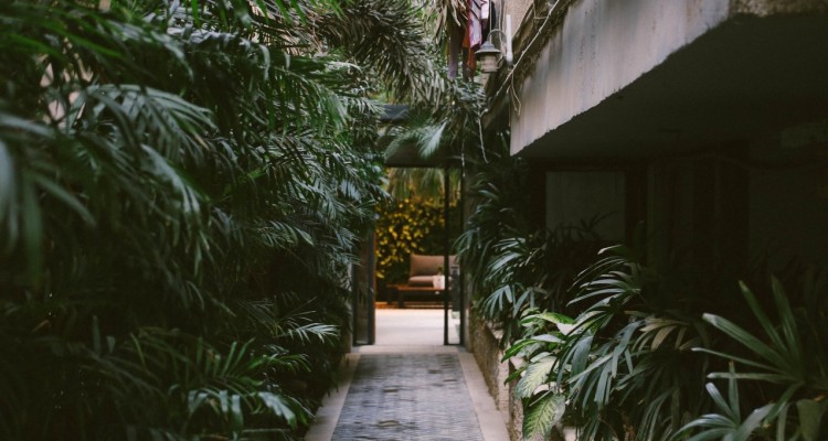 Manovra: bonus verde prorogato per 3 anni