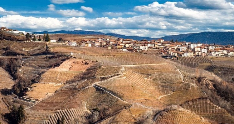 Ambiente e città: al primo posto Trento, all'ultimo Palermo